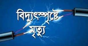 শ্রীবরদ্দীতে বিদ্যুৎস্পৃষ্টে এক যুবকের মৃত্যু