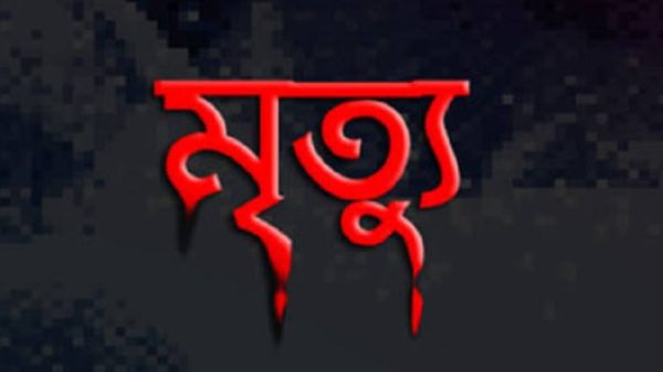 শেরপুরে মশলা ভাঙানো মিলের যন্ত্রের ফিতার সঙ্গে কাপড় পেঁচিয়ে এক বৃদ্ধার মর্মান্তিক মৃত্যু
