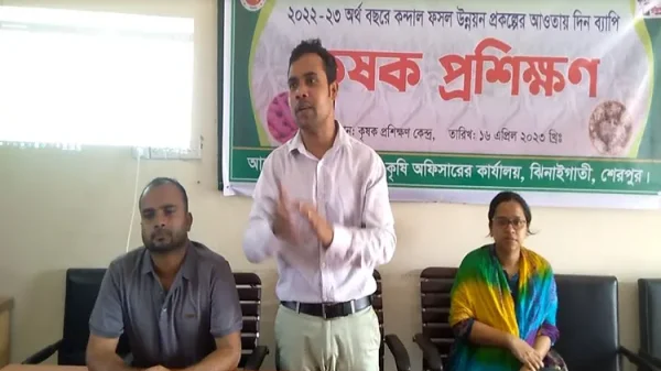 ঝিনাইগাতীতে কন্দাল ফসল উন্নয়ন প্রকল্পের আওতায় কৃষকদের মাঝে প্রশিক্ষণ প্রদান