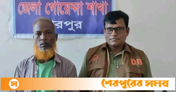 শেরপুরে গাঁজাসহ এক মাদক কারবারি ডিবি পুলিশের হাতে গ্রেফতার