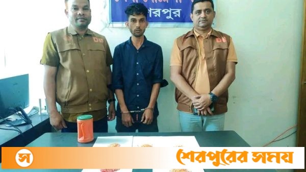 শেরপুরে এক মাদক কারবারিকে ইয়াবা ট্যাবলেটসহ ডিবির হাতে আটক