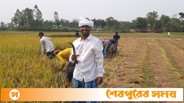 ধান কেটে কৃষকের মুখে হাসি ফোটালো ছাত্রলীগ