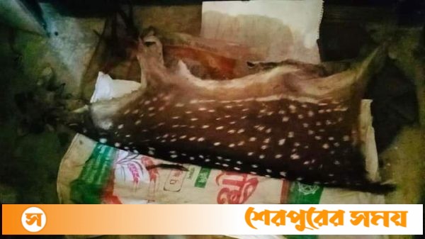 চিড়িয়াখানার হরিণ খেয়ে ফেলার পর আটক এক