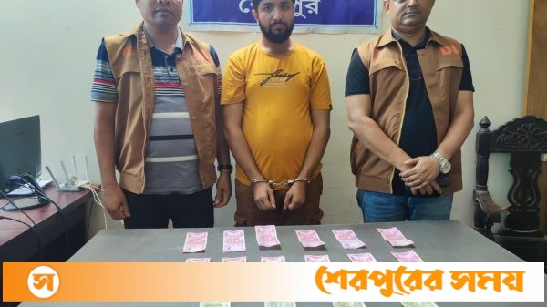শেরপুরে ডিবি পুলিশের অভিযানে ৪০ হাজার ভারতীয় রুপিসহ ১ যুবক গ্রেপ্তার