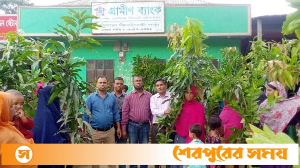 গ্রামীণ ব্যাংক হাতীবান্দা ঝিনাইগাতী শাখার উদ্যোগে সদস্যদের মাঝে গাছের চারা বিতরণ