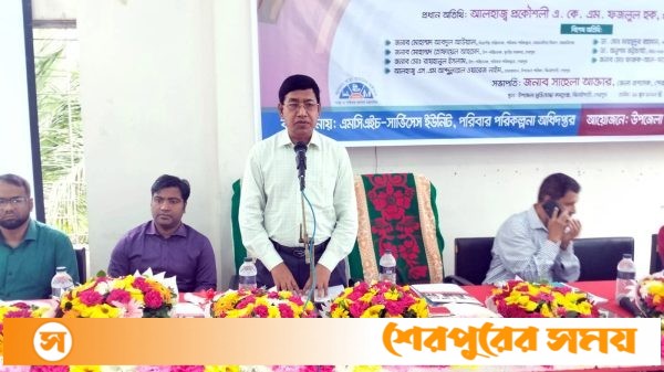 ঝিনাইগাতীতে সার্বক্ষণিক স্বাভাবিক প্রসব সেবা জোরদারকরণ বিষয়ক অবহিতকরণ কর্মশালা অনুষ্ঠিত