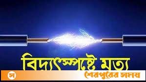 শ্রীবরদীতে বিদ্যুতায়িত হয়ে ভ্যানচালকের মৃত্যু!
