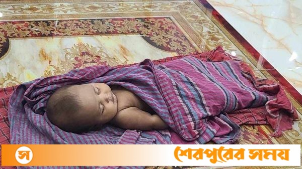 শেরপুরে জমি নিয়ে বিরোধে ছুঁড়ে ফেলে শিশু হত্যা, গ্রেফতার- ২, ৫ জনের নামে মামলা