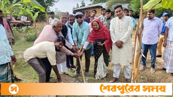 নিয়ামতপুরে ৪০ দিনের ইজিপিপি কাজের উদ্বোধন