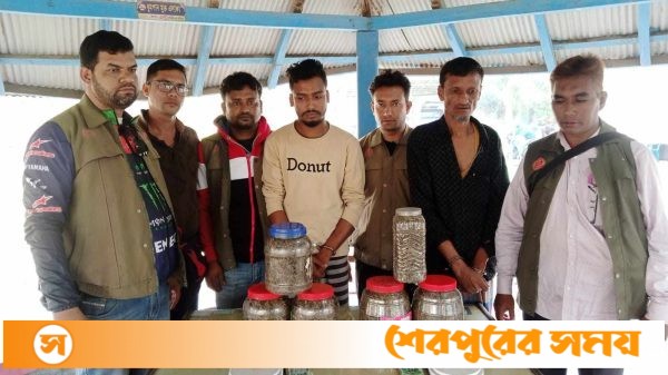 বরগুনার তালতলীতে গাঁজাসহ বাবা-ছেলে গ্রেপ্তার