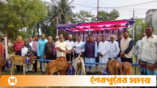 চারঘাটে জেলেদের মাঝে বকনা বাছুর বিতরণ