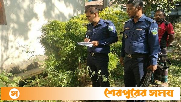 শ্রীবরদী হাসপাতাল চত্তর থেকে এক নবজাতকের লাশ উদ্ধার