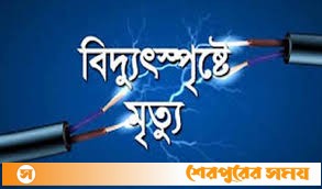 শ্রীবরদীতে বিদ্যুৎ স্পৃষ্ট হয়ে কৃষকের মৃত্যু
