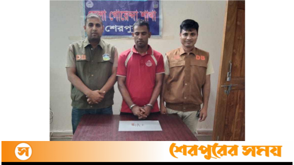 শেরপুরে ৫০ পিস ইয়াবাসহ ইউপি সদস্য আলম ডিবি পুলিশের হাতে গ্রেফতার