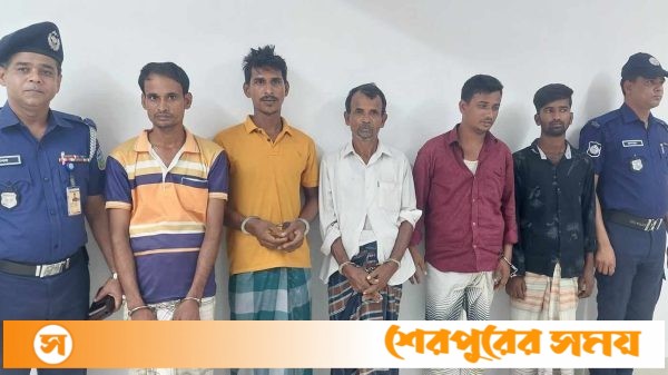 ঝিনাইগাতীতে গরু চোর চাক্রের ৫ সদস্য গ্রেপ্তার
