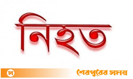 শেরপুরে জমিসংক্রান্ত বিরোধের জের ধরে প্রতিপক্ষের হামলায় কৃষক নিহত: আহত ৩