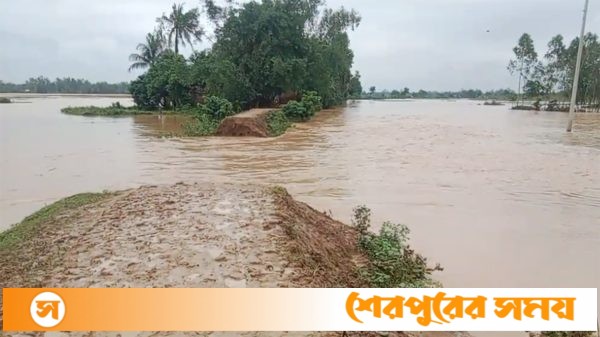 শেরপুরের ঝিনাইগাতীতে টানা বর্ষণ ও পাহাড়ি ঢলে মহারশী ও সোমেশ্বরী নদীর বাঁধ ভেঙে নিম্নাঞ্চল প্লাবিত