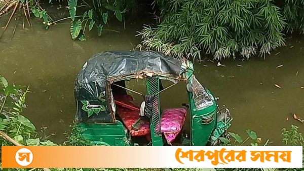 শেরপুরে সিএনজিচালিত অটোরিকশার চাপায় এক শিশু নিহত