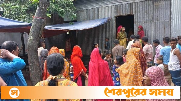 নালিতাবাড়ীতে রাইস কুকারে রান্না করতে গিয়ে প্রাণ গেল গৃহবধূর