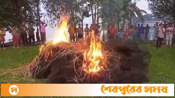 ঝিনাইগাতীতে দেশীয় মাছ ধরার ১ হাজার ৪৫০ মিটার অবৈধ চায়না দুয়ারী জাল আটক ও ধ্বংস
