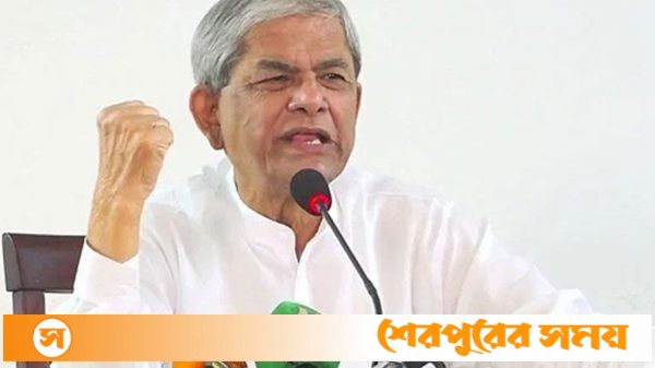 অবিলম্বে অন্তর্বর্তীকালীন সরকার গঠন করতে হবে: ফখরুল