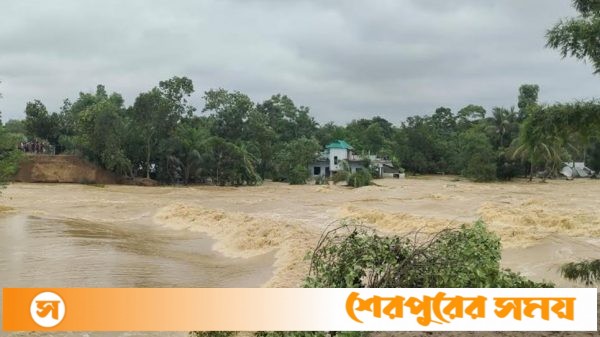 বাঁধ ভেঙে পানি ঢুকছে লোকালয়ে