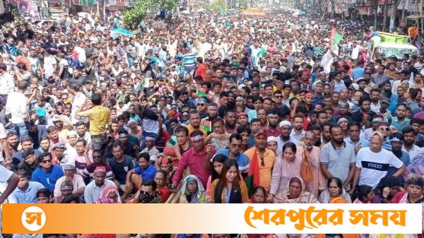 সরকার পতনের পর নয়াপল্টনে বিএনপির প্রথম সমাবেশে জনতার ঢল