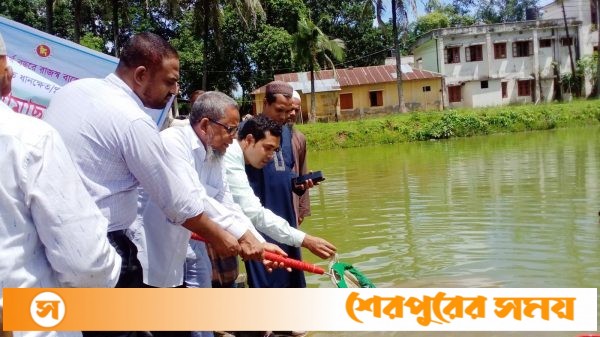 ঝিনাইগাতী উপজেলার বিভিন্ন প্রাতিষ্ঠানিক পুকুর ও উন্মুক্ত জলাশয়ে পোনা মাছ অবমুক্তকরণ