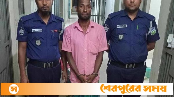 চোরাই পথে আনা ৬ বস্তা চিনি ও গুড়া মসলাসহ গ্রেফতার ১