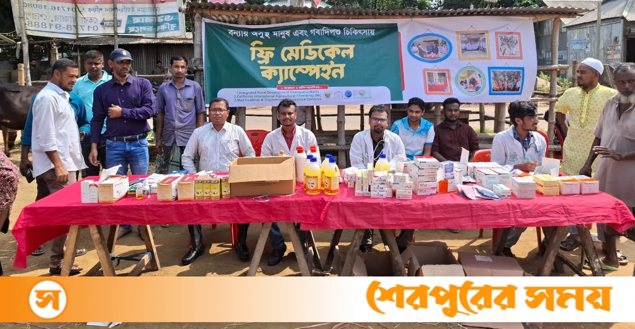 শ্রীবরদীতে বন্যা পরবর্তী গবাদিপশুর জন্য বিনা মূল্যে ভ্যাকসিন ও চিকিৎসা সেবা প্রদান
