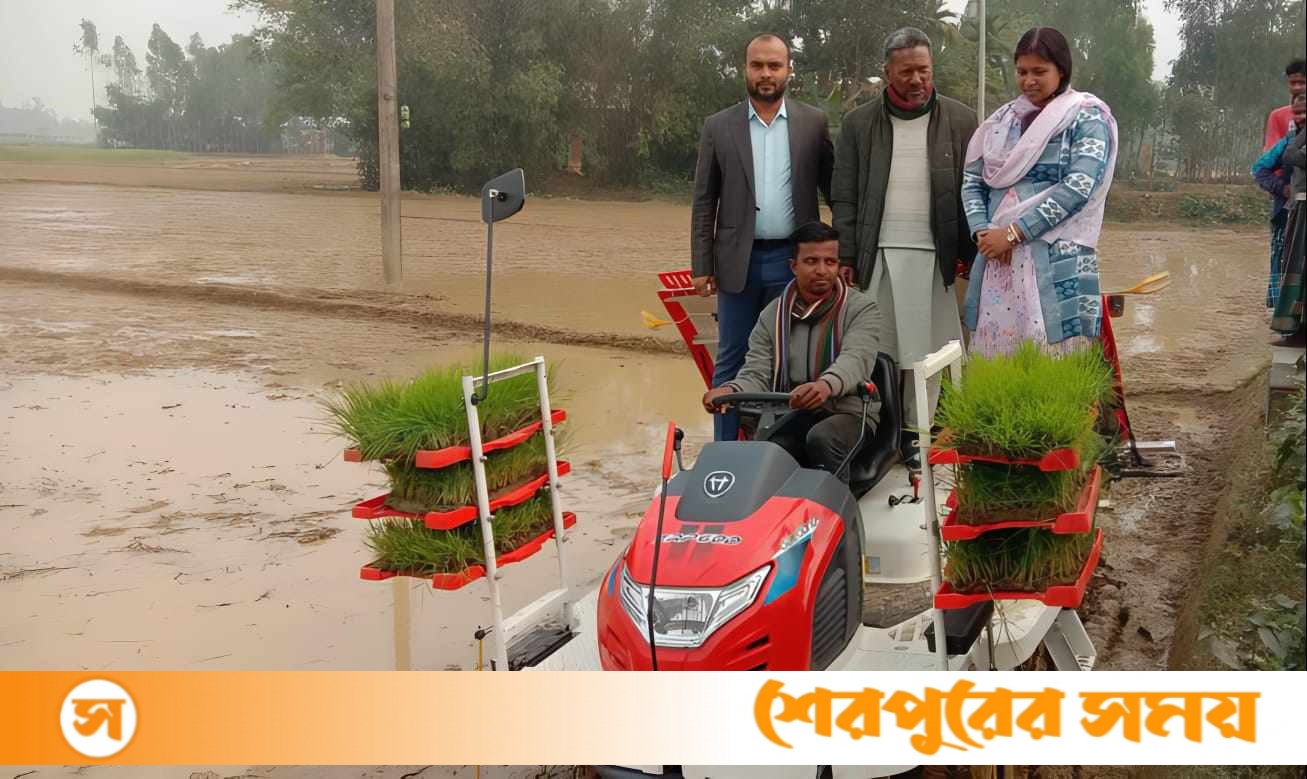 শেরপুরে সমলয় পদ্ধতিতে বোর ধানের চারা রোপনের উদ্বোধন