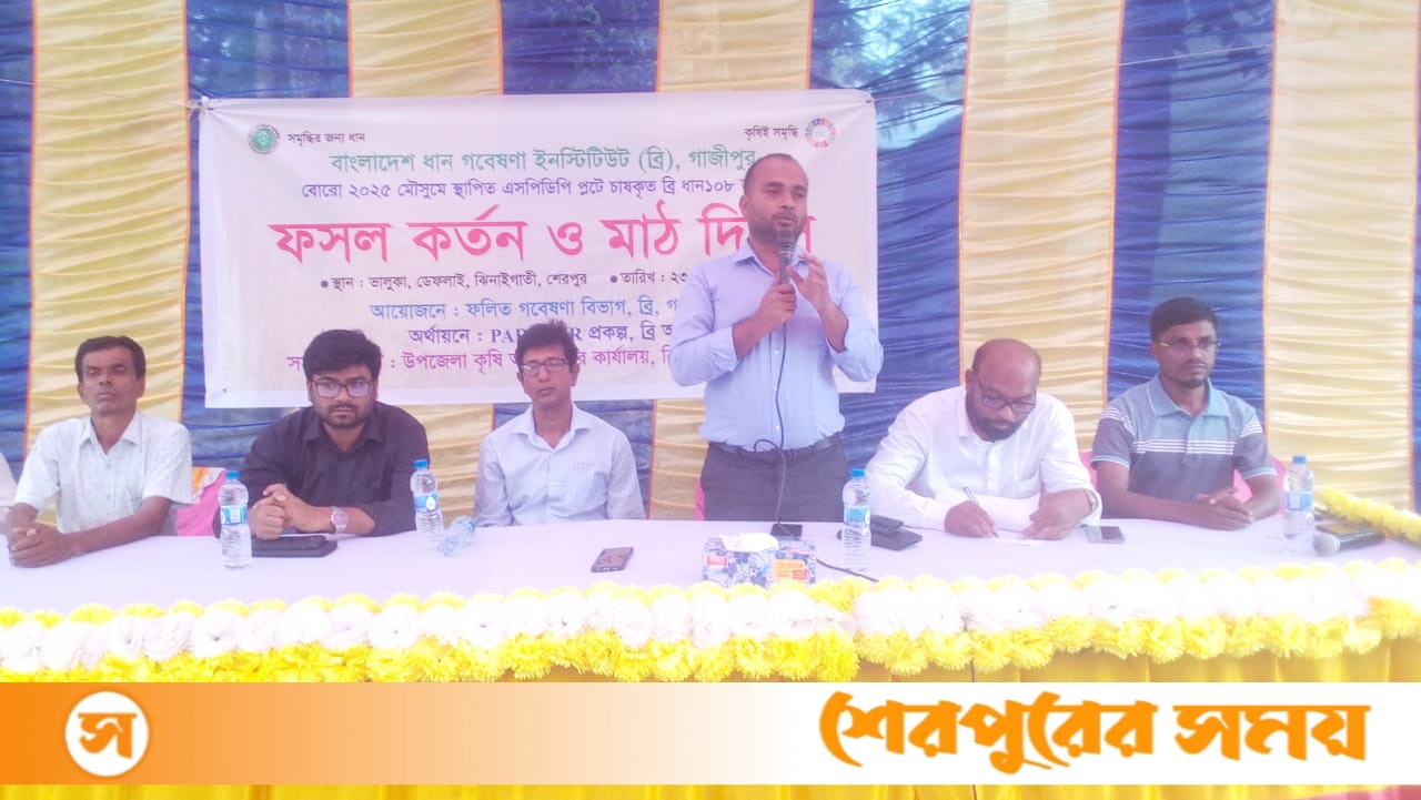 ঝিনাইগাতীতে ব্রি ধান১০৮ জাতের ফসল কর্তন ও মাঠ দিবস অনুষ্ঠিত