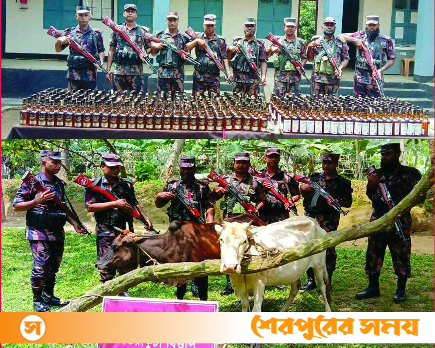 শেরপুরের ঝিনাইগাতীতে বিপুল পরিমাণ ভারতীয় মদসহ ২টি গরু জব্দ