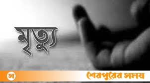 নালিতাবাড়ীতে বড় ভাইয়ের মৃত্যুর ১০ মিনিট পর ছোট ভাইয়ের মৃত্যু