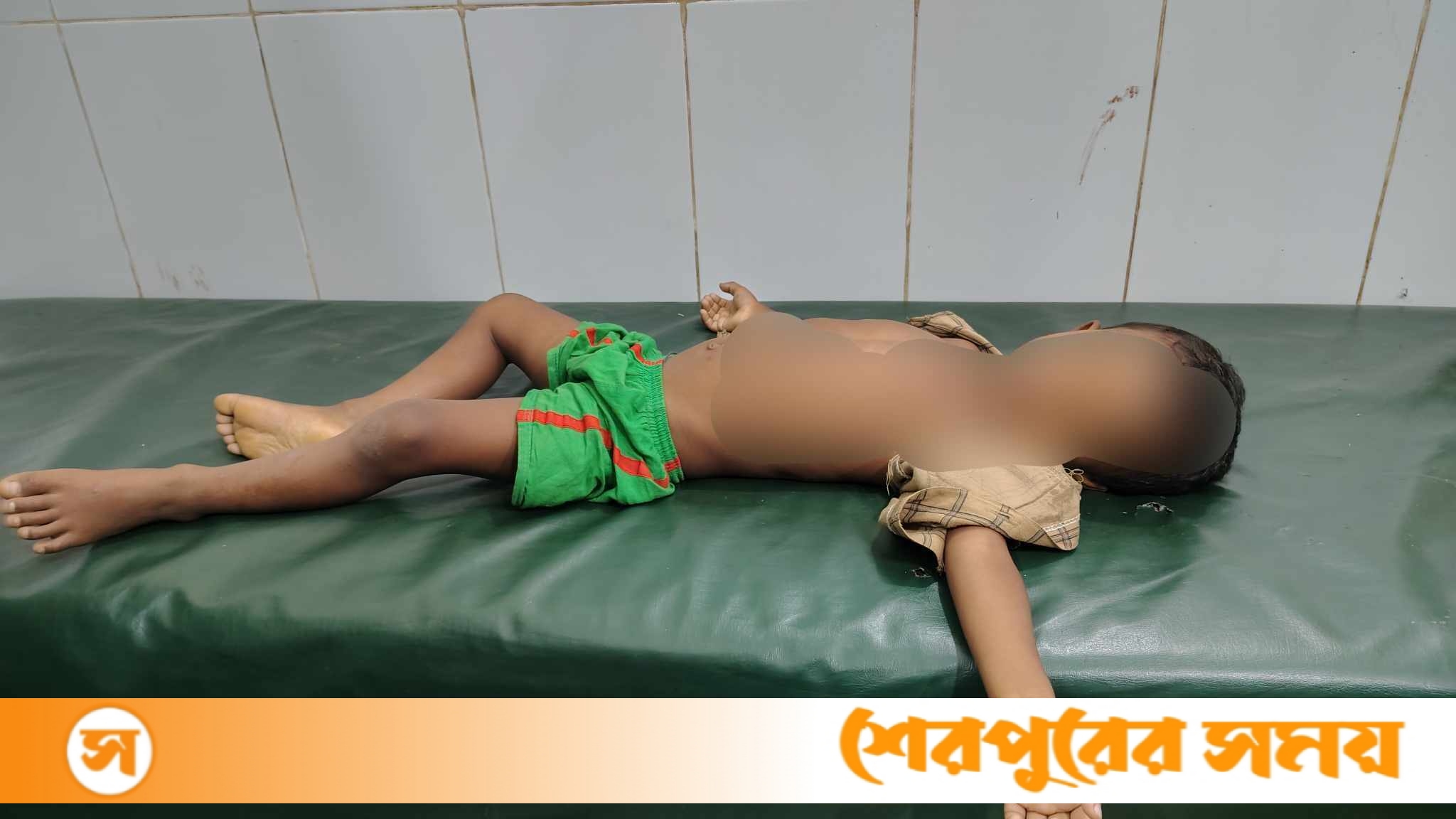 নালিতাবাড়ীতে লিচুর বিচি গলায় আটকে শিশুর মর্মান্তিক মৃত্যু