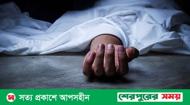 নালিতাবাড়ীতে বিদ্যুৎস্পৃষ্ট হয়ে শিশুর মৃত্যু