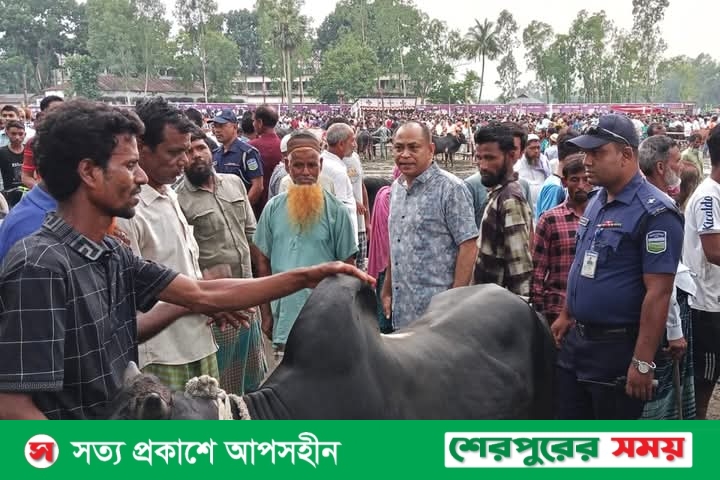 শেরপুরে নিরাপত্তা নিশ্চিতে কোরবানির পশুর হাট পরিদর্শনে জেলা পুলিশ