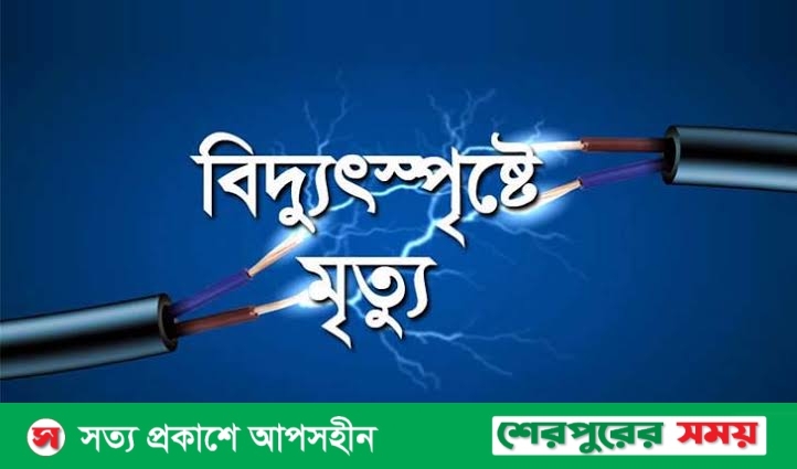 নালিতাবাড়ীতে বিদ্যুৎপৃষ্ঠ হয়ে শিশুর মর্মান্তিক মৃত্যু