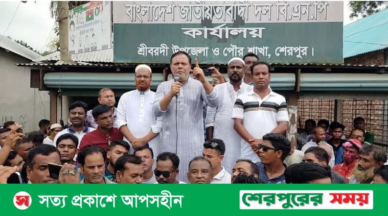 জুলাই গণঅভ্যুত্থান উদযাপন উপলক্ষে শ্রীবরদীতে বিএনপি’র বর্ণাঢ্য বিজয় র‌্যালি