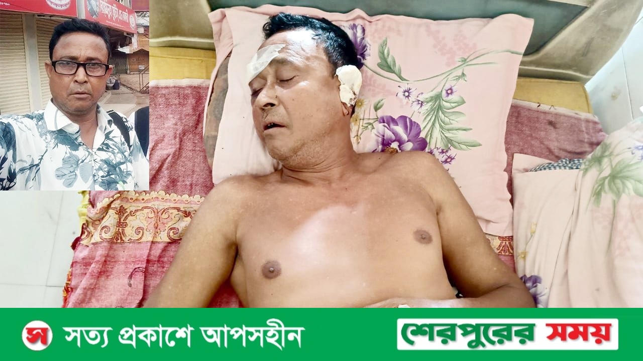 ঝিনাইগাতীতে সাংবাদিক খোরশেদ আলমের ওপর সন্ত্রাসী হামলা