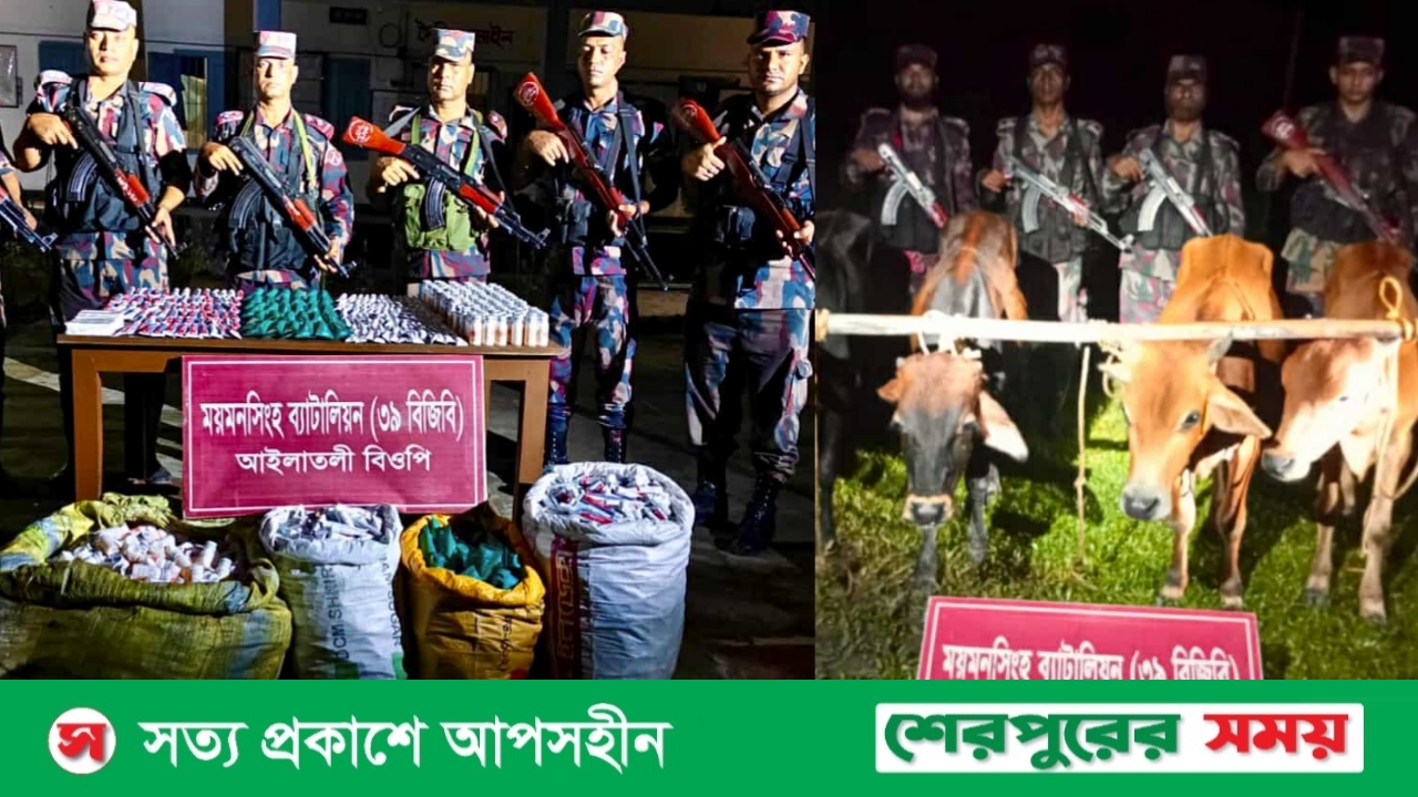 শেরপুর ও হালুয়াঘাট সীমান্তে ভারতীয় ঔষধ, মদ ও গরু আটক