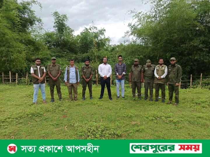 হাতি-মানুষের দ্বন্দ্ব কমাবে খাদ্য বাগান  গারো পাহাড়ে ব্যতিক্রমী উদ্যোগ