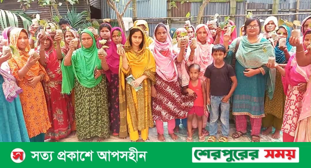 শেরপুরে গ্রামীন নারীদের ক্ষমতায়ন ও দারিদ্র্যতা দূরীকরণে চুইঝালের চারা বিতরণ