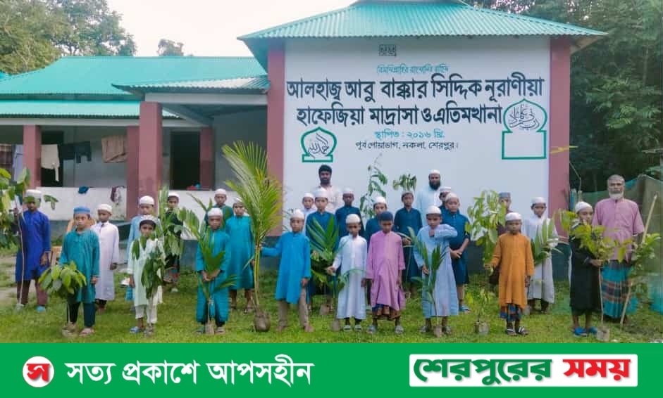 নকলায় হাফেজিয়া মাদ্রাসা-এতিমখানা মাঠে ফলজ গাছের চারা রোপন