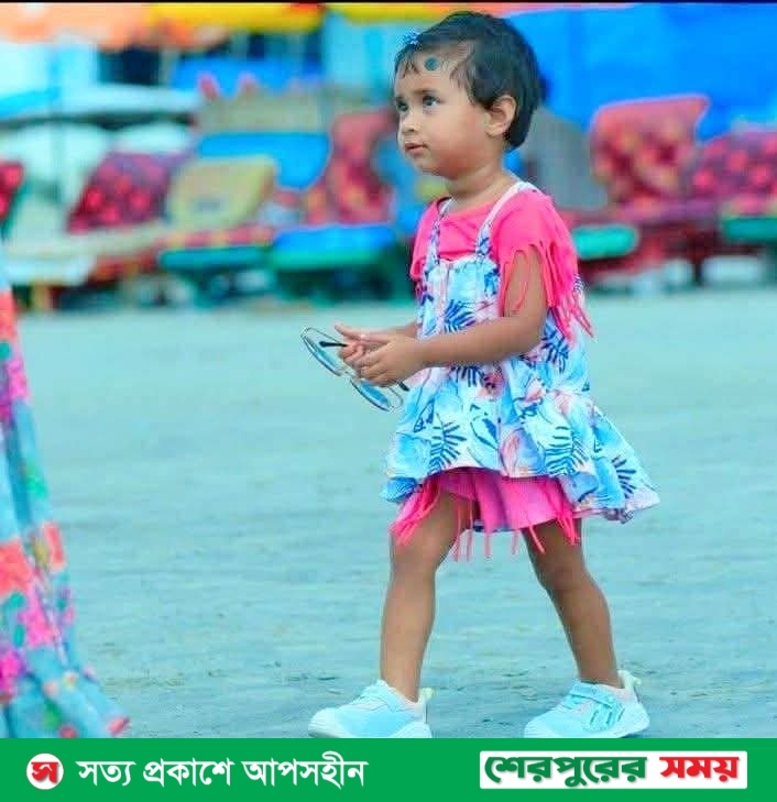 শেরপুরে সড়ক দুর্ঘটনায় এনসিপি নেতার শিশু কন্যার মৃত্যু 