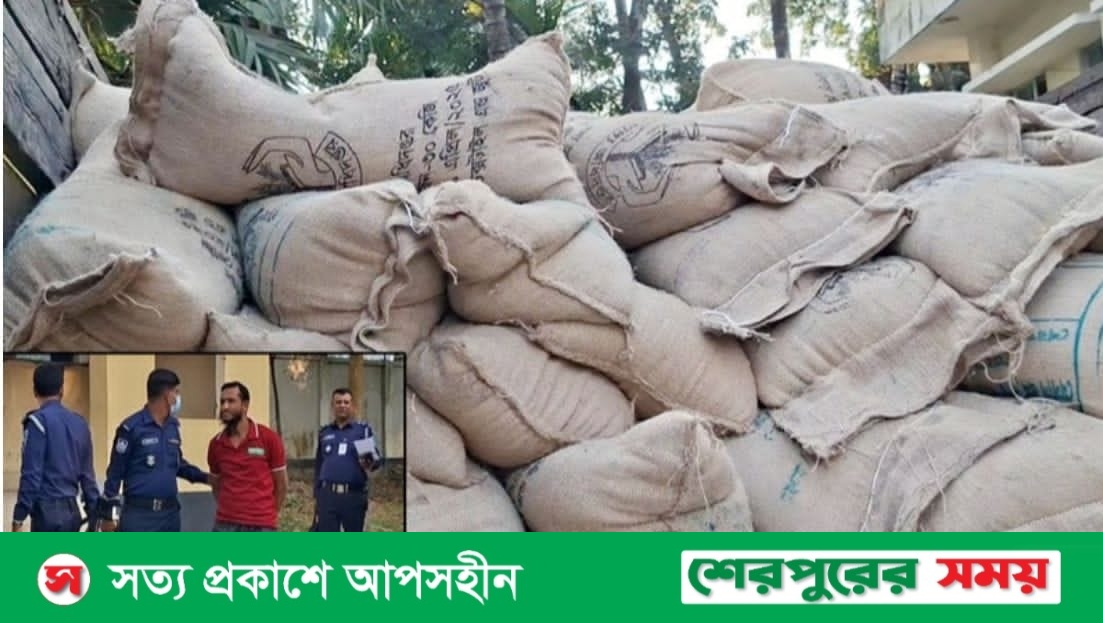 শেরপুরে টিসিবির ২৪৮ বস্তা চাল জব্দ: ডিলার আটক